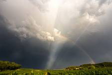 Véronique LARRUE - LARRUE VERONIQUE